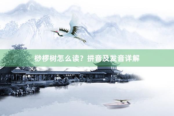 桫椤树怎么读？拼音及发音详解