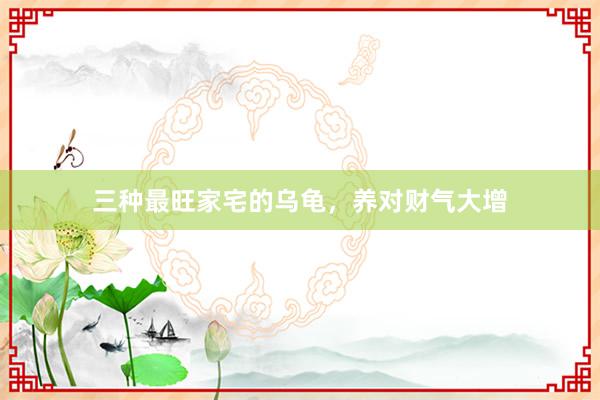 三种最旺家宅的乌龟，养对财气大增